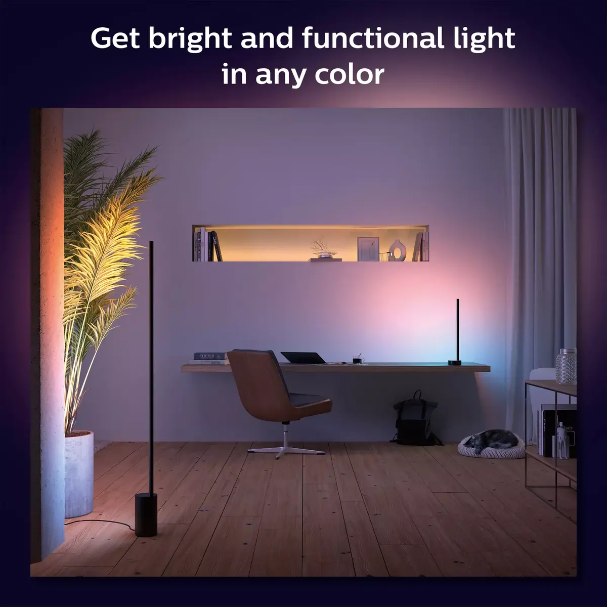 Smart table lamp Philips Hue Signe gradient Photo 5
