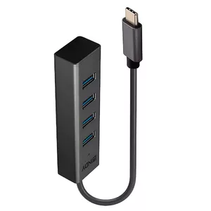 Lindy 43325 interfeisa centrmezgls USB 3.2 Gen 1 (3.1 Gen 1) Type-C 5000 Mbit/s Pelēks