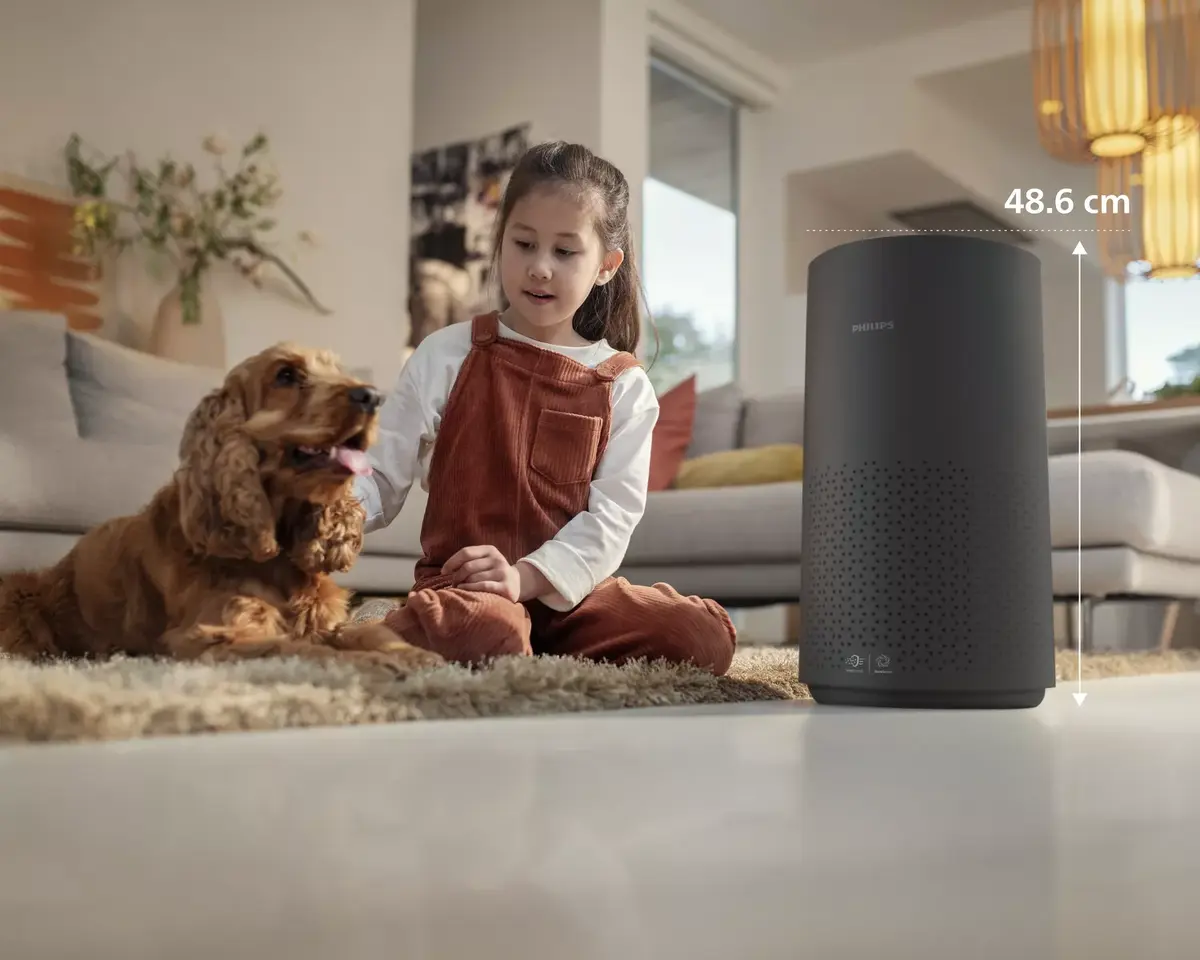 Gaisa attīrītājs Philips 1000 sērija AC1715 Photo 5