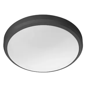 Ceiling light Philips Doris 6W LED, IP54, 4000K, 220mm, grey