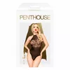 Teddy Bodie Penthouse XL D-231440 Photo 3