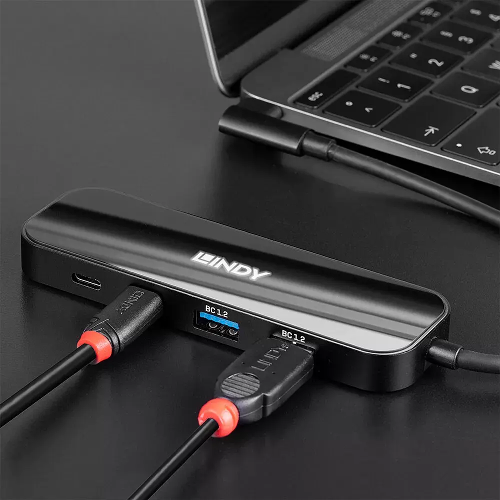 USB Hub Lindy 43334 43334 Photo 4