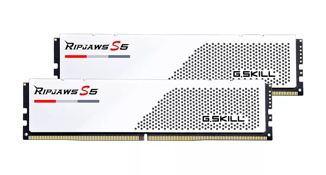 Atmiņas modulis G.Skill Ripjaws S5