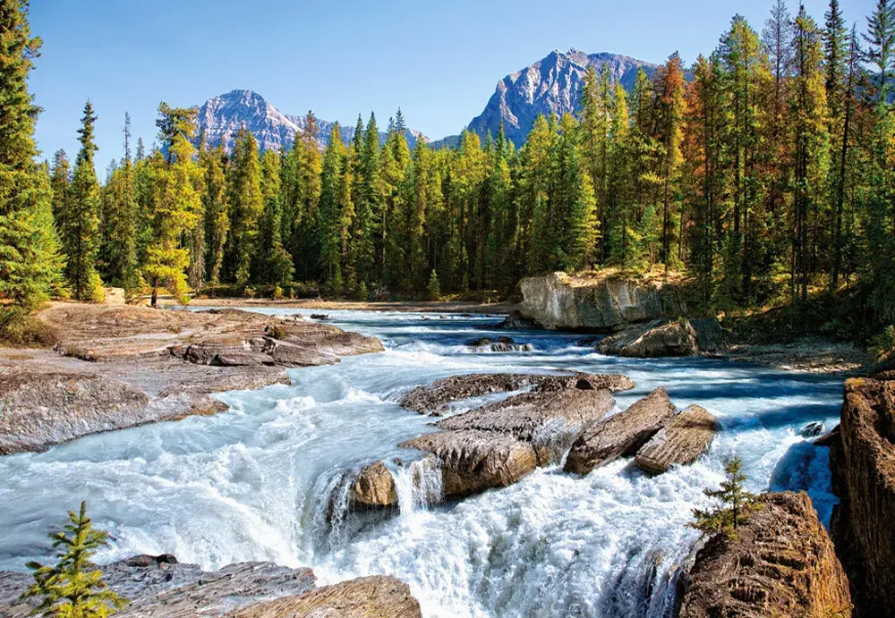 Castorland Athabasca River пазл 1500 элементов Photo 2