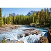 Castorland Athabasca River пазл 1500 элементов Photo 2