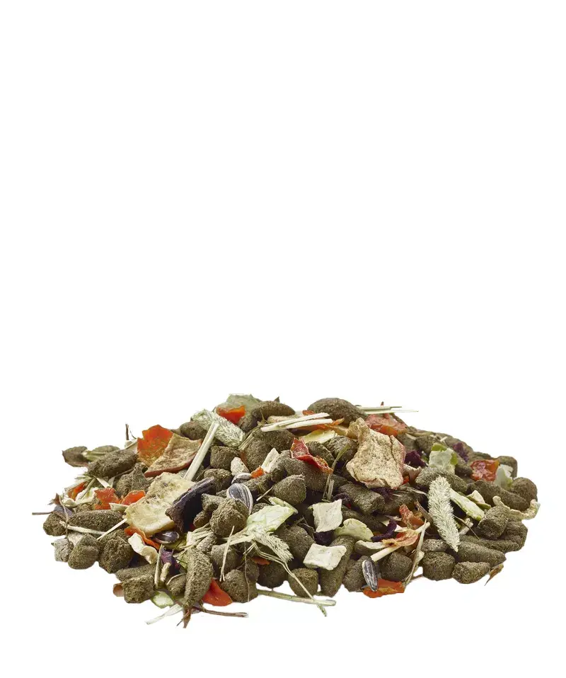 VERSELE-LAGA Cuni Nature gardums 700 g Photo 3