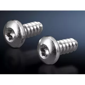 Screw Rittal SZ 2486.400 M5 1.3 cm 300 pcs
