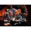 Action/Adventure Playset PLAYMOBIL 70927 Photo 4