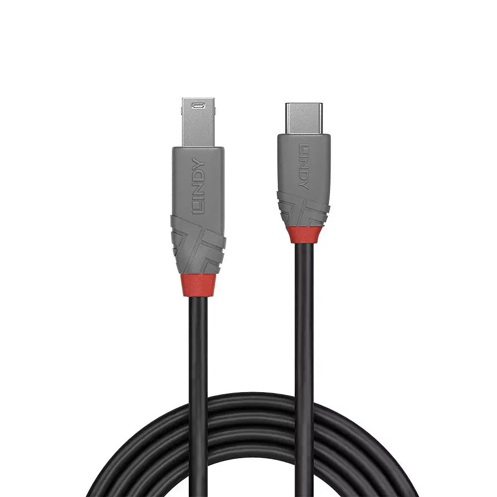 USB 3.2 Type C uz B kabelis Lindy Photo 2