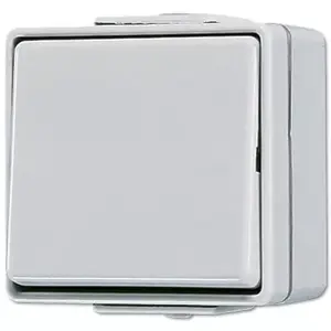Pushbutton switch Jung 606 W 1P wired 250 V 10 A grey