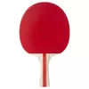 Galda tenisa rakete STIGA Sports 1212-8418-01 Photo 5