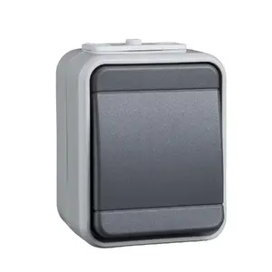 Schneider Electric 441609 light switch Thermoplastic Grey