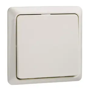 Schneider Electric 506100 light switch Thermoplastic White