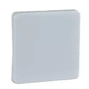 Schneider Electric 213604 electrical switch accessory Key