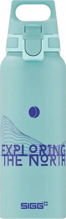 Dzeramā pudele SIGG 9025.90 1000