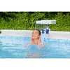 Bestway 58619 pool part/accessory 58619 Photo 15