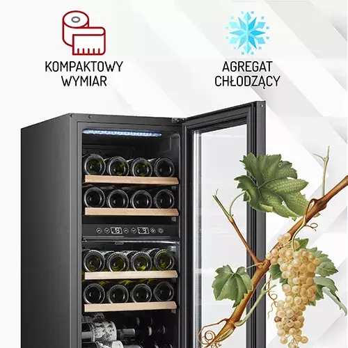 Termoelektrisks vīna dzesētājs Adler AD 8080 — 24 pud. Photo 11