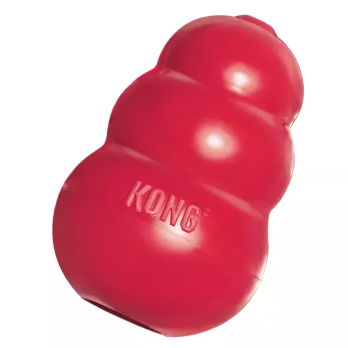 KONG Photo 1