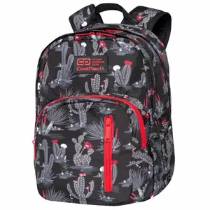 Mugursoma cool pack Discovery Gringo C38254 — tilpums 30 l, ūdensizturīga