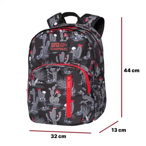 Mugursoma cool pack Discovery Gringo C38254 Photo 4