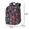 Mugursoma cool pack Discovery Gringo C38254 Photo 4