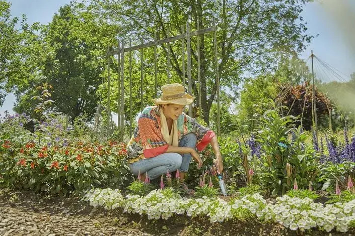 Ravējs Gardena 17702-20 Photo 3