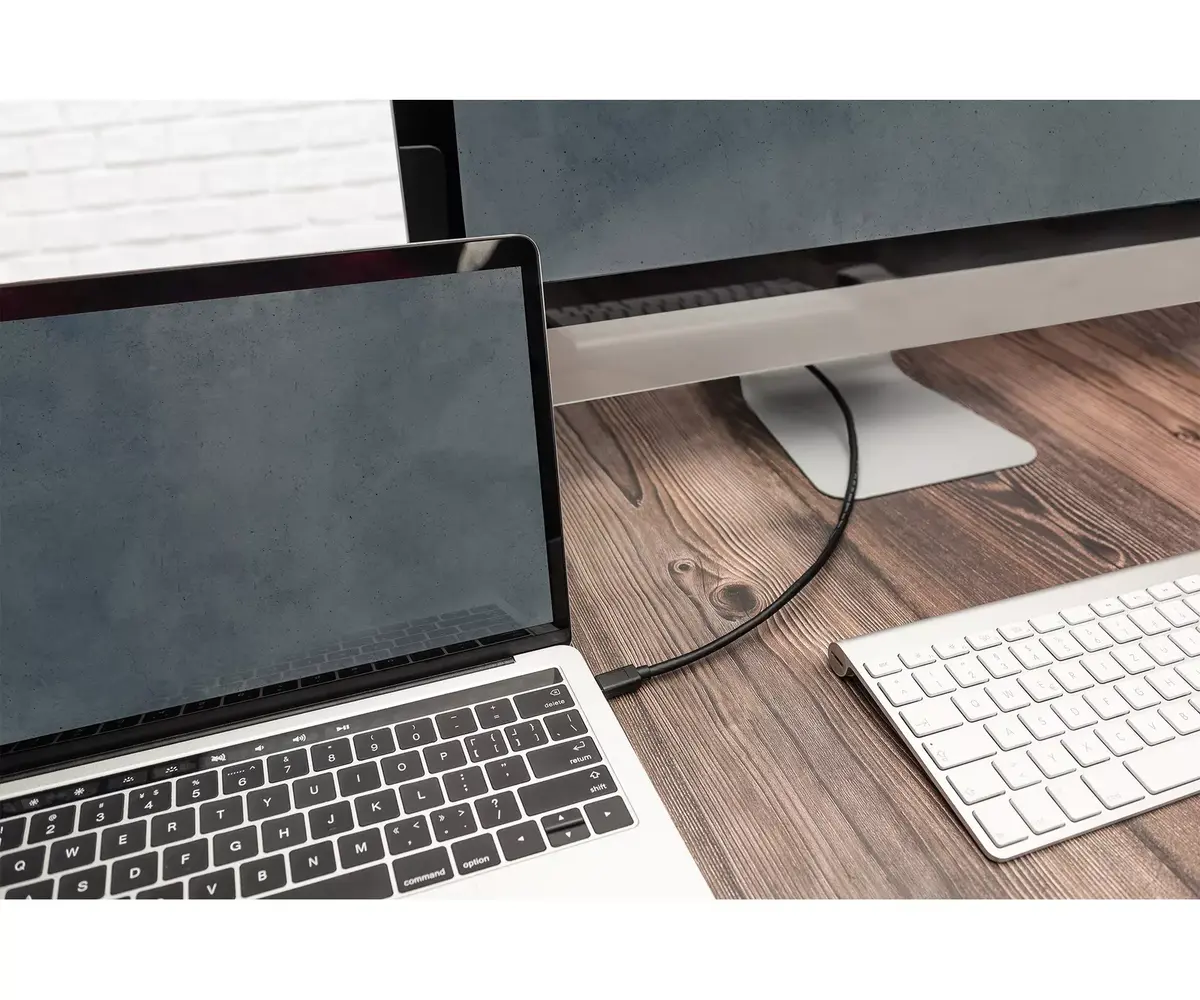 Кабель USB-C Digitus AK-300139-010-S Photo 2