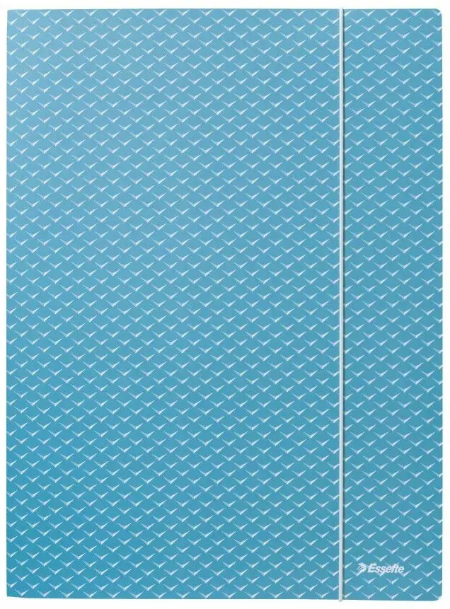 ESSELTE Colour'Breeze A4 kartona mapa Photo 2