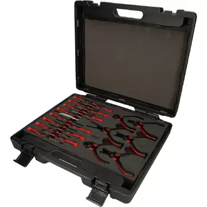 Mechanics Tool Set KS Tools 500.7190 21 Tools Weight 1.4 kg