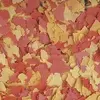 Tropical OVO-VIT Fish Food 12g Photo 2
