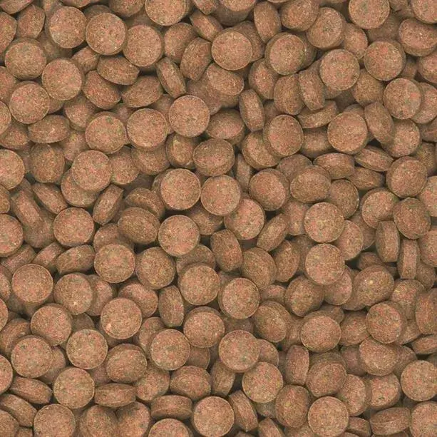 Tropical Supervit Tablets B — сухой корм в таблетках Photo 2