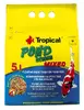 Tropical Pond Sticks Mixed 4 kg Photo 7