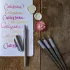 Pildspalva Schneider Callissima Photo 3
