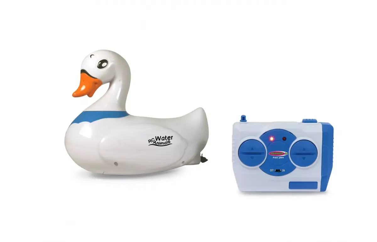 Animal Jamara Water Animals Swan Photo 2