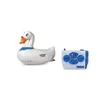 Animal Jamara Water Animals Swan Photo 2