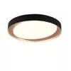 TRIO ZETA LED griestu gaismeklis 24W Photo 2
