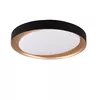TRIO ZETA LED griestu gaismeklis 24W Photo 3