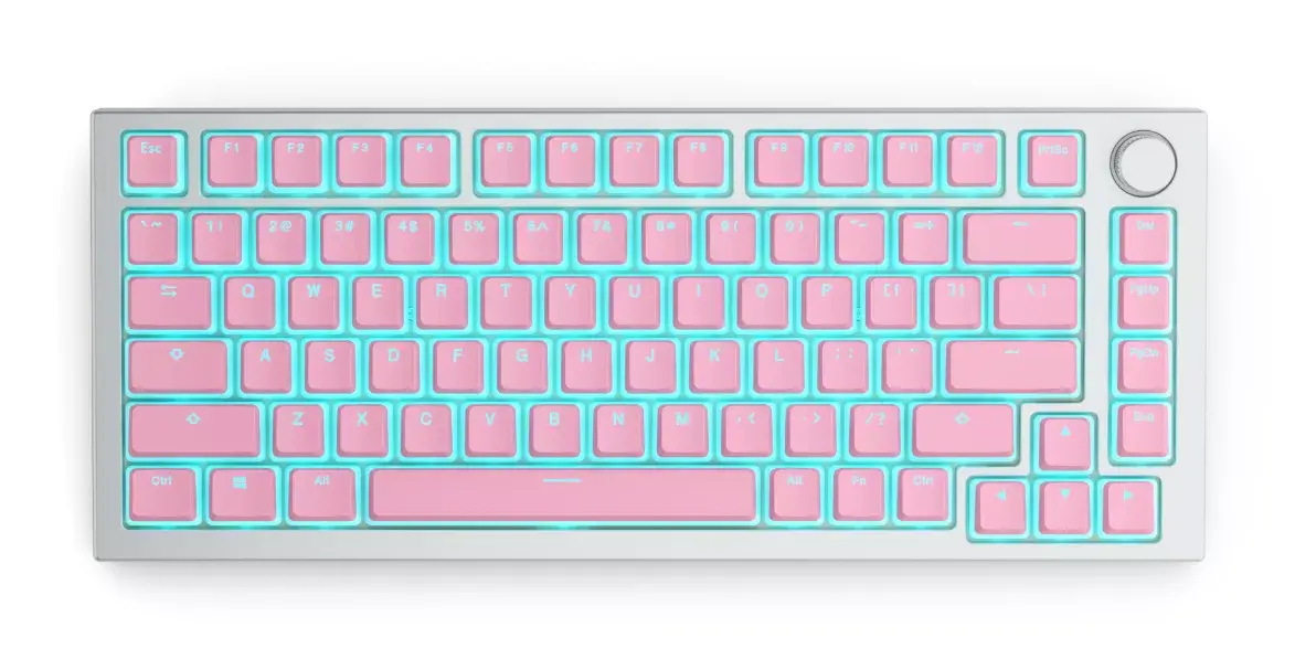 Keyboard cap Glorious PC Gaming Race Aura V2 Photo 3
