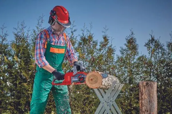 Пила Einhell FORTEXXA 18/30 Photo 2
