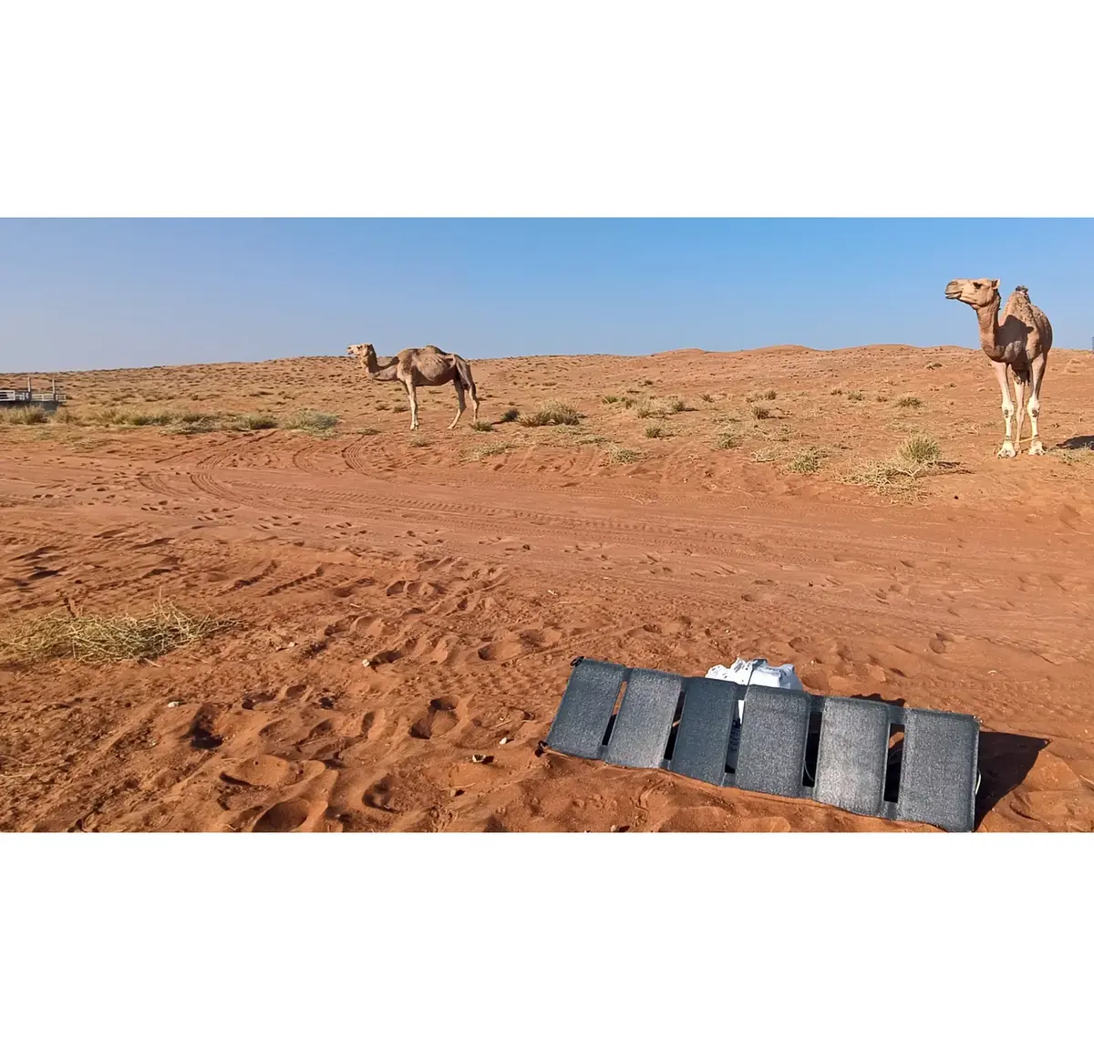 Āra lādētājs Sandberg Solar Charger 40W QC3.0+PD+DC Photo 9