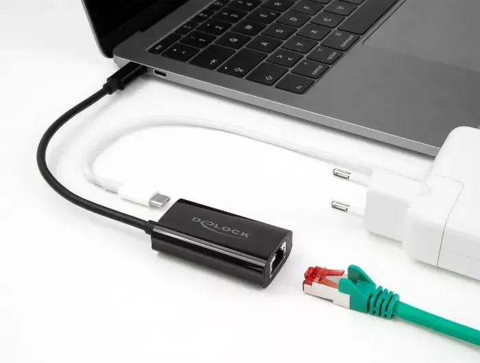 DeLOCK 61026 USB C RJ45 dzimuma mainītājs Photo 2