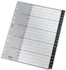 Blank tab index Leitz 12070000 Photo 2