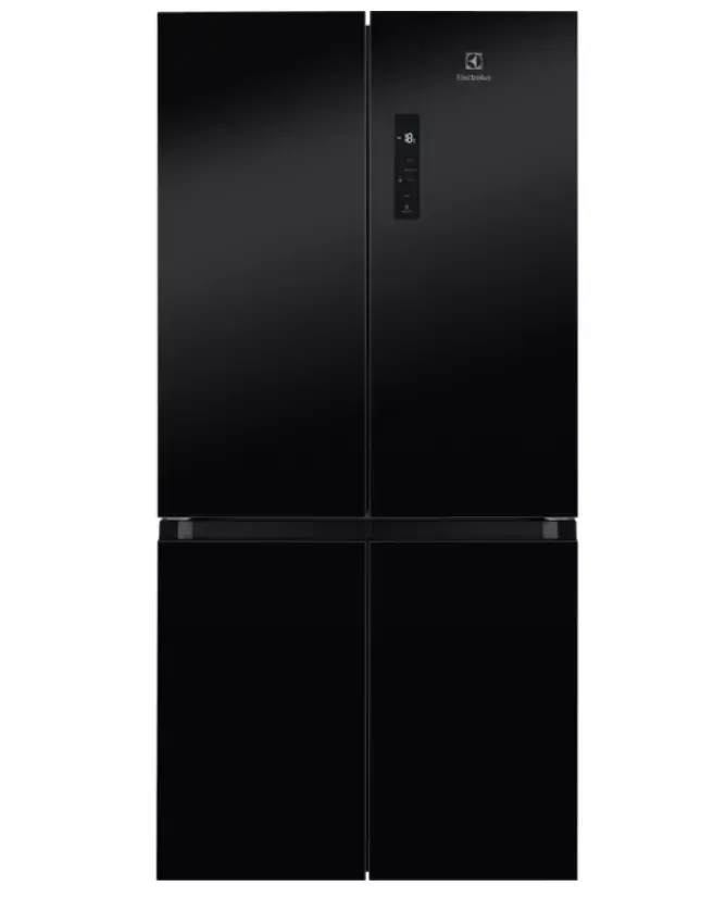 Холодильник Electrolux ELT9VE52M0 Photo 2