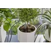 Pilienu apūdeņošanas sistēma Gardena 13366-20 Photo 4
