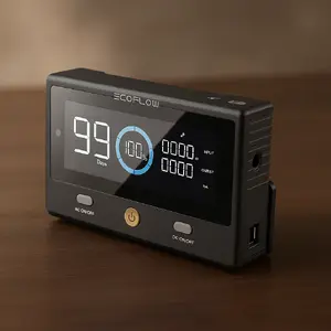 Портативная электростанция EcoFlow DELTAProRC с дистанционным управлением Встроенный дисплей