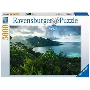 Контурный пазл Ravensburger 16106 5000 шт Цветы