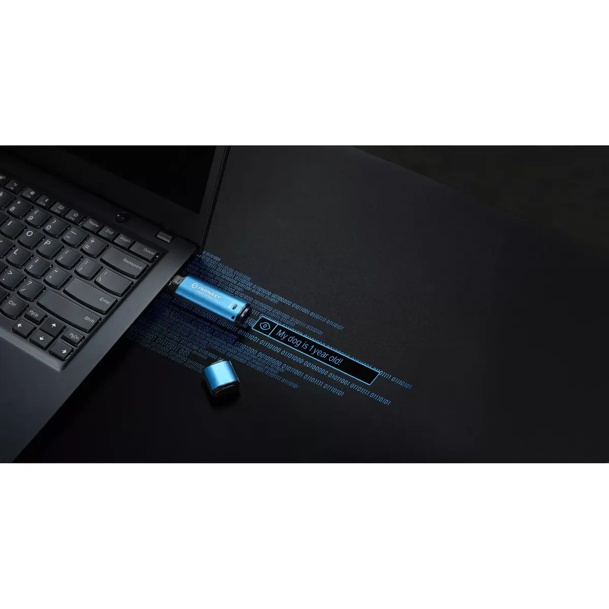 USB флеш-память Kingston 256GB IronKey Vault Privacy 50 Photo 16