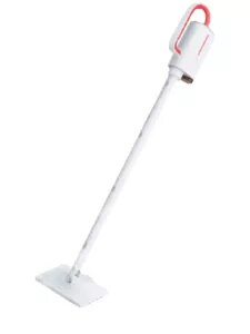 Steam Cleaners