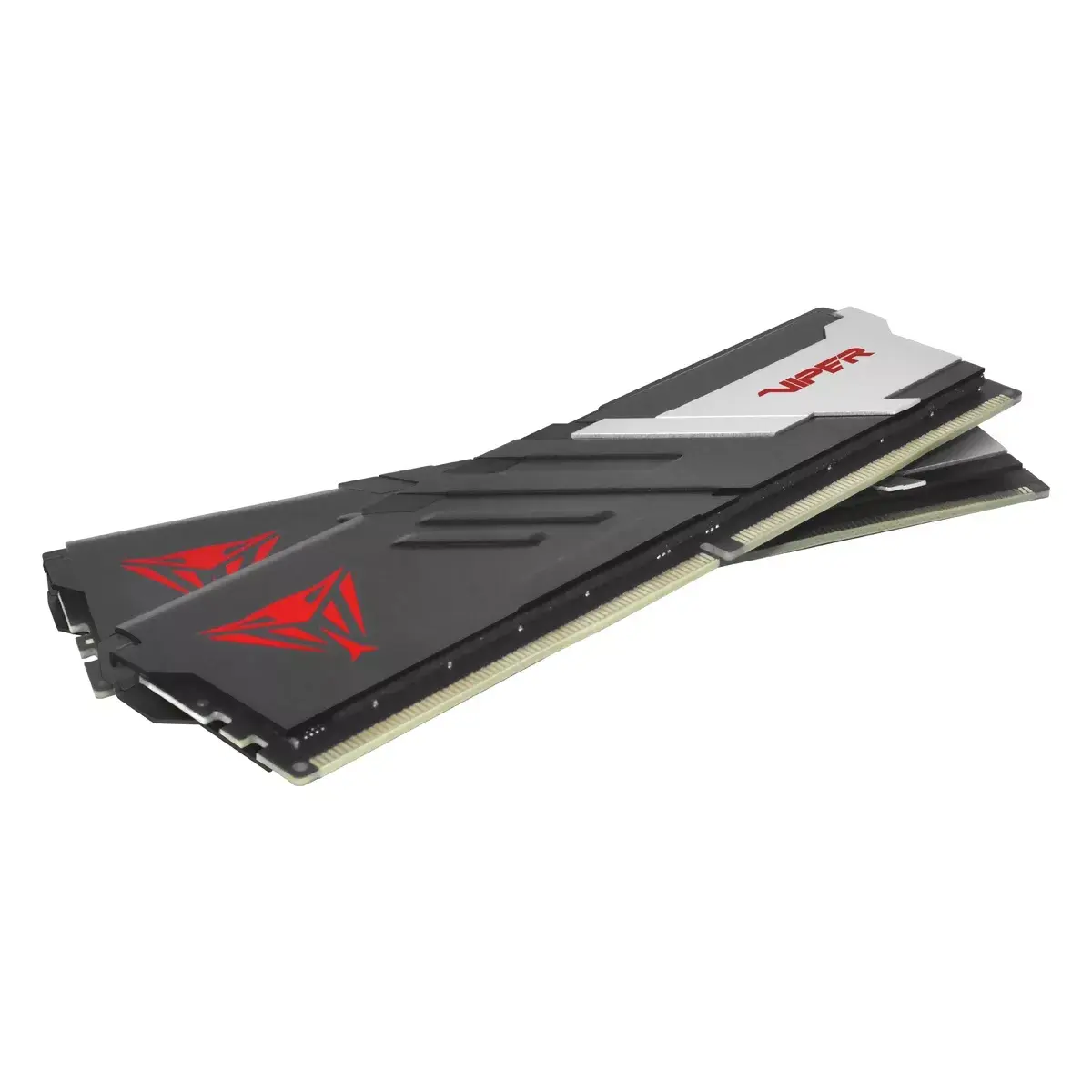 Memory Module Patriot Memory 16GB PVV516G560C40K Photo 2