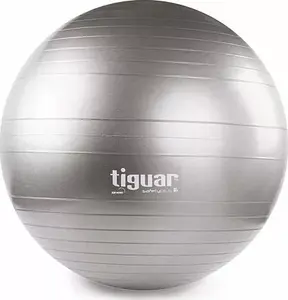 Exercise ball Tiguar Safety Plus 65 cm, gray